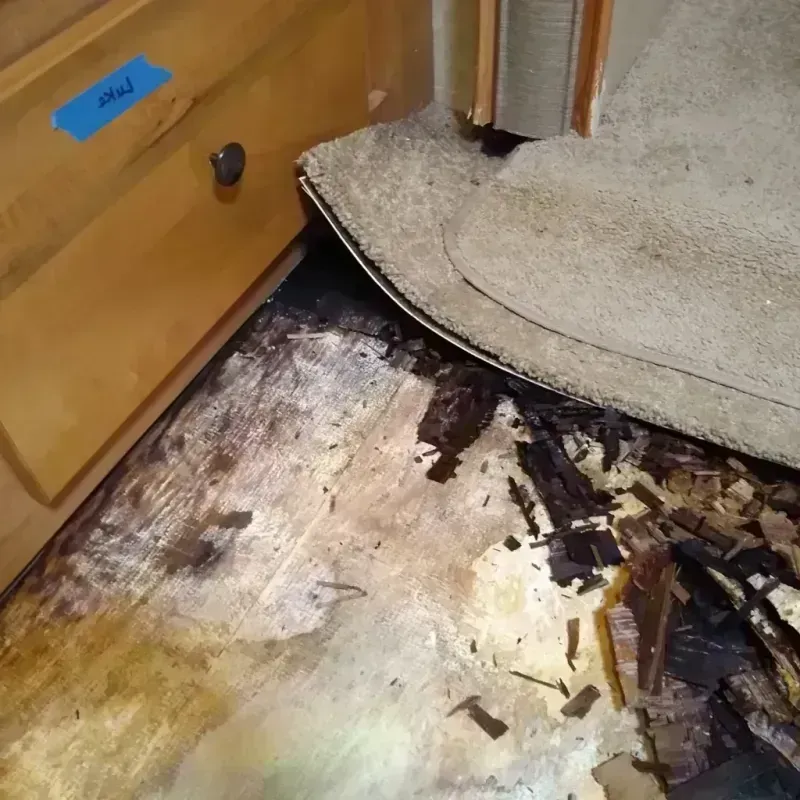 Wood Floor Water Damage in Bradley, IL